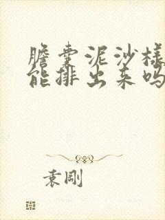 胆囊泥沙样结石能排出来吗