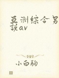 亚洲综合另类小说av