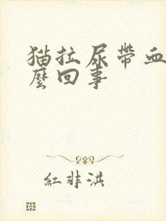 猫拉尿带血是怎么回事