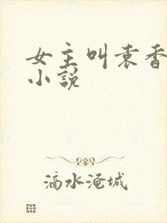 女主叫袁香儿的小说