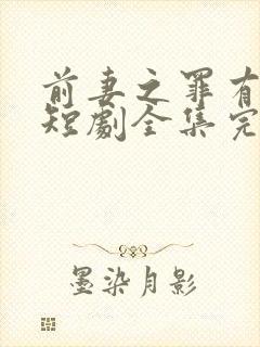 前妻之罪有应得短剧全集完整版