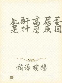 肌酐高尿蛋白高是什么原因