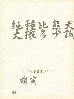 纯种比熊犬价格大概多少钱一只