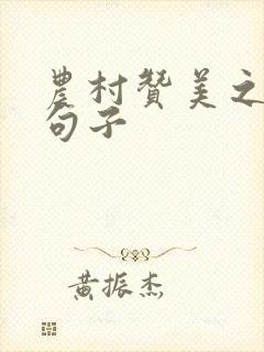 农村赞美之情的句子