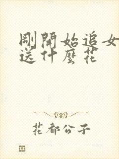 刚开始追女孩子送什么花