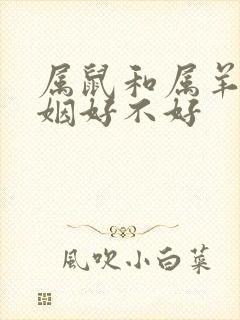 属鼠和属羊的婚姻好不好