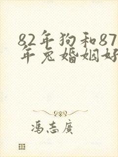 82年狗和87年兔婚姻好不好