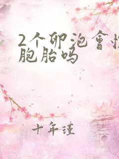 2个卵泡会怀双胞胎吗