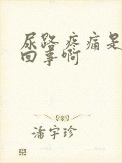 尿路疼痛是怎么回事啊