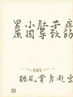 男小肚子疼什么原因导致的