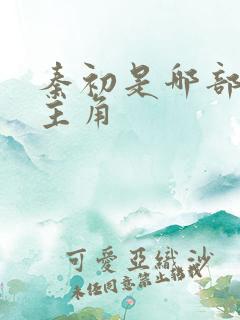 秦初是哪部小说主角