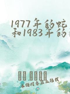 1977年的蛇和1983年的猪婚姻配吗