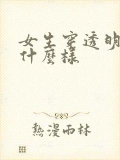 女生穿透明内衣什么样