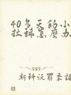 40多天的小狗拉稀怎么办