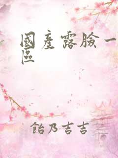 国产露脸一区二区