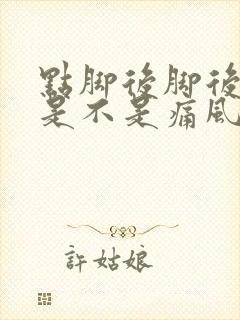 点脚后脚后跟疼是不是痛风