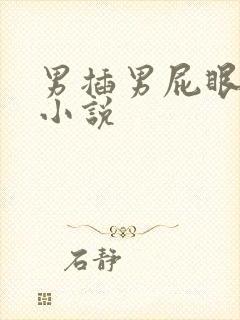 男插男屁眼射尿小说