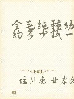 金毛纯种幼犬大约多少钱一只