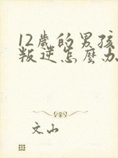 12岁的男孩子叛逆怎么办