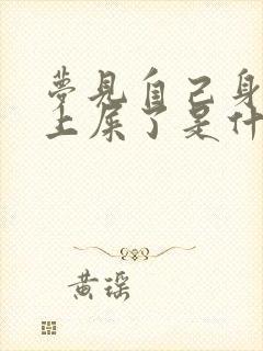 梦见自己身上弄上屎了是什么意思