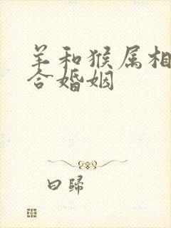 羊和猴属相合不合婚姻