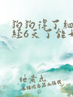 狗狗得了细小已经6天了能好吗