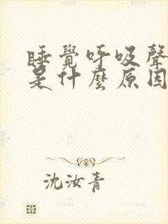 睡觉呼吸声音重是什么原因