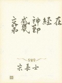 交感神经在颈椎第几节