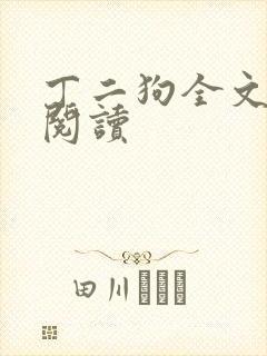 丁二狗全文免费阅读