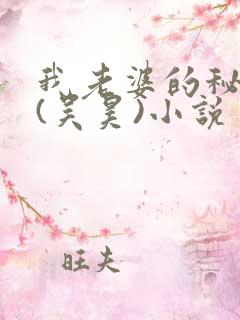 我老婆的秘密 (吴昊)小说