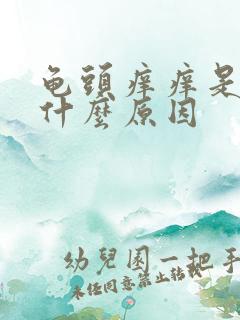 龟头痒痒是因为什么原因