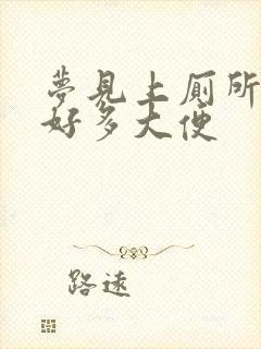 梦见上厕所拉了好多大便