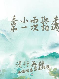 秦小雨与老旺的第一次相遇