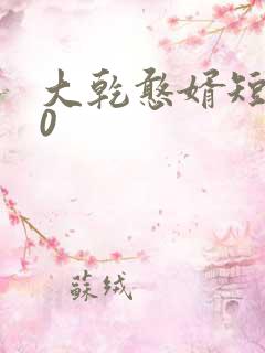 大乾憨婿短剧60