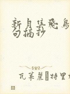 新月集飞鸟集好句摘抄