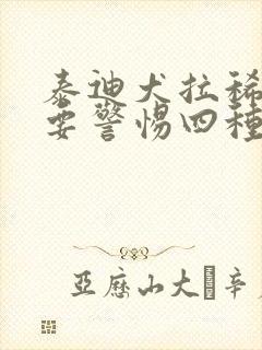 泰迪犬拉稀带血要警惕四种病