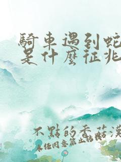 骑车遇到蛇过路是什么征兆