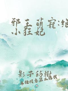 邪王萌宠:绝色小狂妃