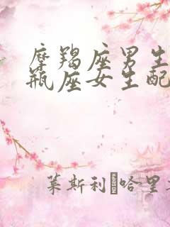 摩羯座男生和水瓶座女生配对指数