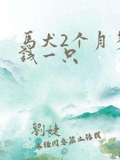 马犬2个月多少钱一只