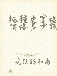 纯种史宾格幼犬价格多少钱一只