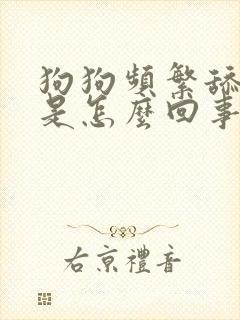 狗狗频繁舔嘴巴是怎么回事