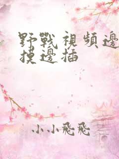 野战视频边吃边摸边插