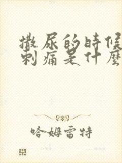 撒尿的时候尿道刺痛是什么原因