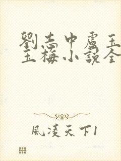 刘志中卢玉清卢玉梅小说全文免费阅读 1210