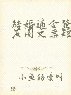 结婚适合发的朋友圈文案短句