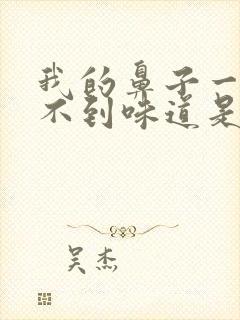 我的鼻子一直闻不到味道是怎么回事