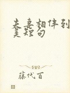 夫妻相伴到老唯美短句