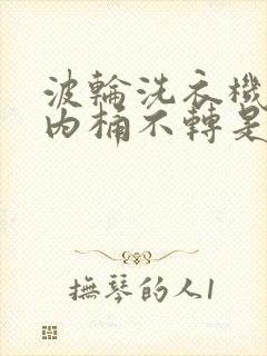 波轮洗衣机脱水内桶不转是什么原因