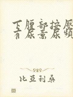 下腹部按压疼痛有尿意尿频